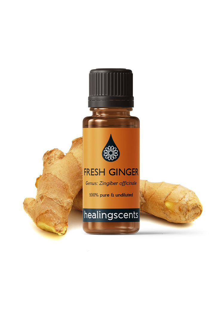Ginger Fresh Essential Oil | 10ml